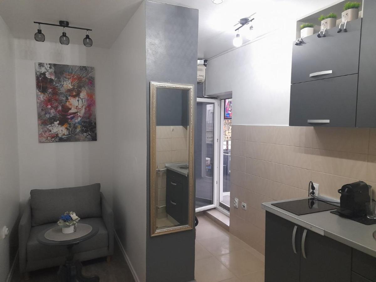 Apartman Pozoriste Penthaus Μπάνια Λούκα Εξωτερικό φωτογραφία