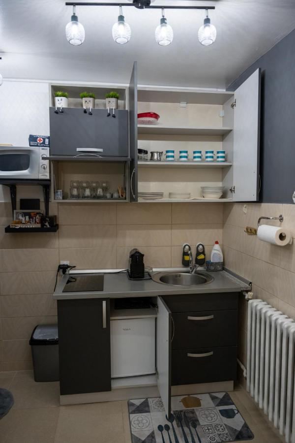 Apartman Pozoriste Penthaus Μπάνια Λούκα Εξωτερικό φωτογραφία